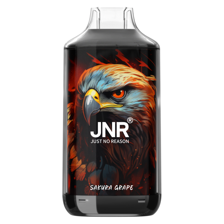 JNR Falcon 16K Einweg Vape mit bis zu 16000 Zügen und hochwertigen fruchtigen Geschmacksrichtungen