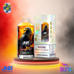 JNR Falcon X 18K Blueberry Kiwi Einweg Vape mit bis zu 18000 Zügen und Blaubeer-Kiwi-Geschmack