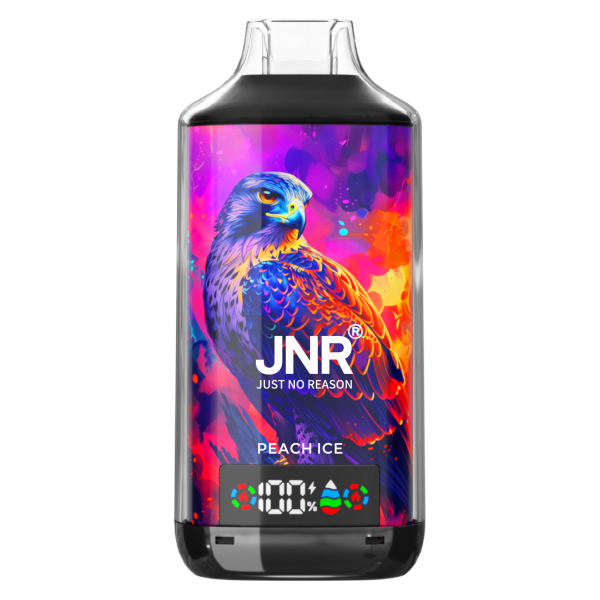 JNR Falcon X 18K Einweg Vape mit bis zu 18000 Zügen und wiederaufladbarem Premium-Design