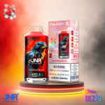 JNR Falcon X 18K Watermelon Ice Einweg Vape mit bis zu 18000 Zügen und Wassermelonen-Geschmack mit Ice-Note