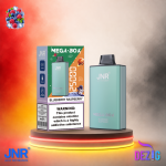 JNR Mega Box 25K Blueberry Raspberry Einweg Vape mit 25000 Zügen und fruchtigem Blaubeer-Himbeer-Geschmack.