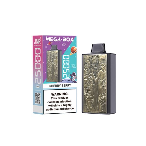 JNR – Mega Box 25K Puffs – 2% Nicotine – Disposable Vape