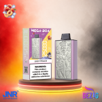 JNR Mega Box 25K Juicy Peach Einweg Vape mit 25000 Zügen und saftigem Pfirsich-Geschmack.