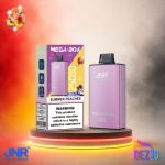 JNR Mega Box 25K Summer Peaches Einweg Vape mit 25000 Zügen und süßem Sommer-Pfirsich-Geschmack.