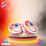 Iceberg Dragon Fruit Snus Nikotinbeutel mit Drachenfrucht-Geschmack, 20 Beuteln und 40mg Nikotin.
