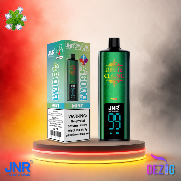 JNR Shisha Classic 46K Mint Einweg Vape mit frischem Minz-Geschmack und 46000 Zügen.